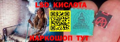 дмт Новозыбков