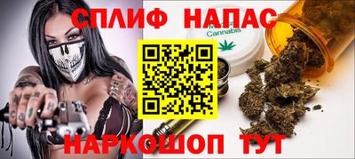 дмт Новозыбков