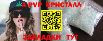 дмт Новозыбков