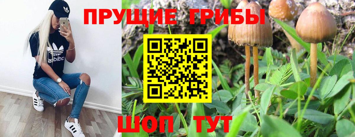 Псилоцибиновые грибы Magic Shrooms Сухой Лог